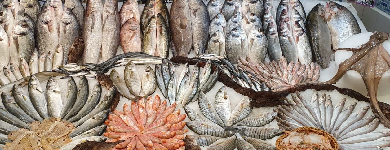 OMEGA 3 FAYDALARI