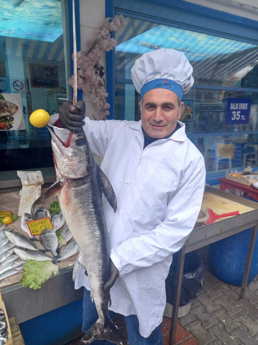 Kılıç Balığı Faydaları Ve Özellği