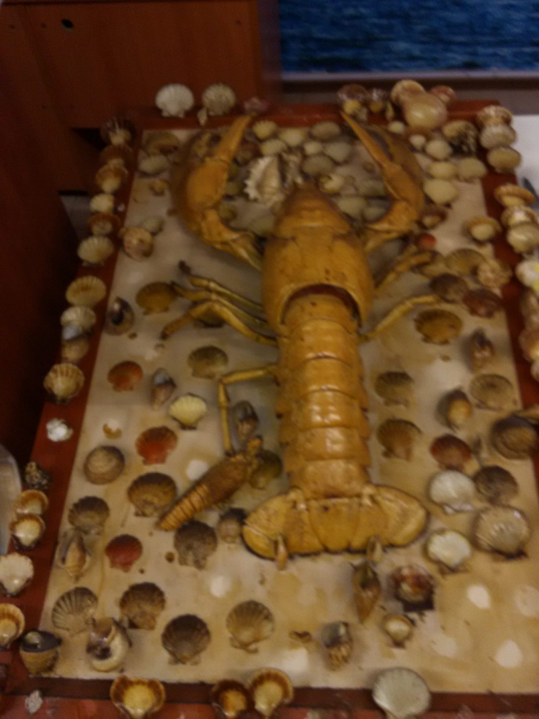 Istakoz Faydası Ve Özelliğ