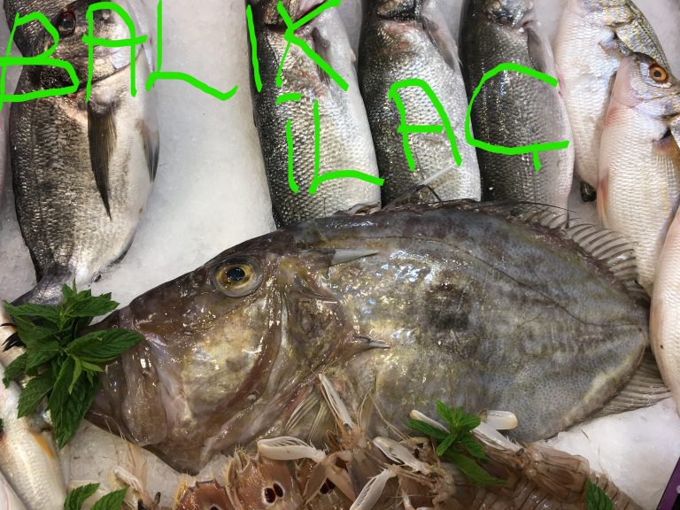 Dülger Balığı Faydaları Ve Özelliği