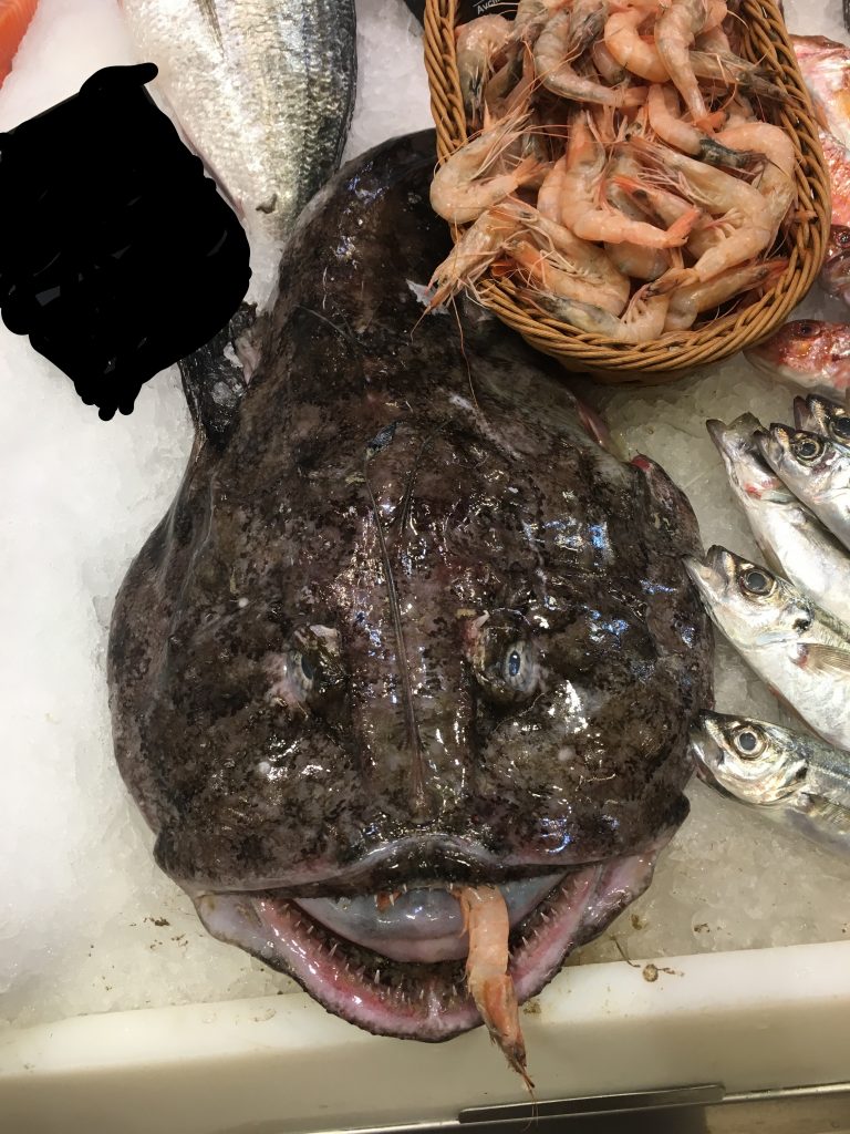 Fener Balığı Faydaları Ve Özelliği