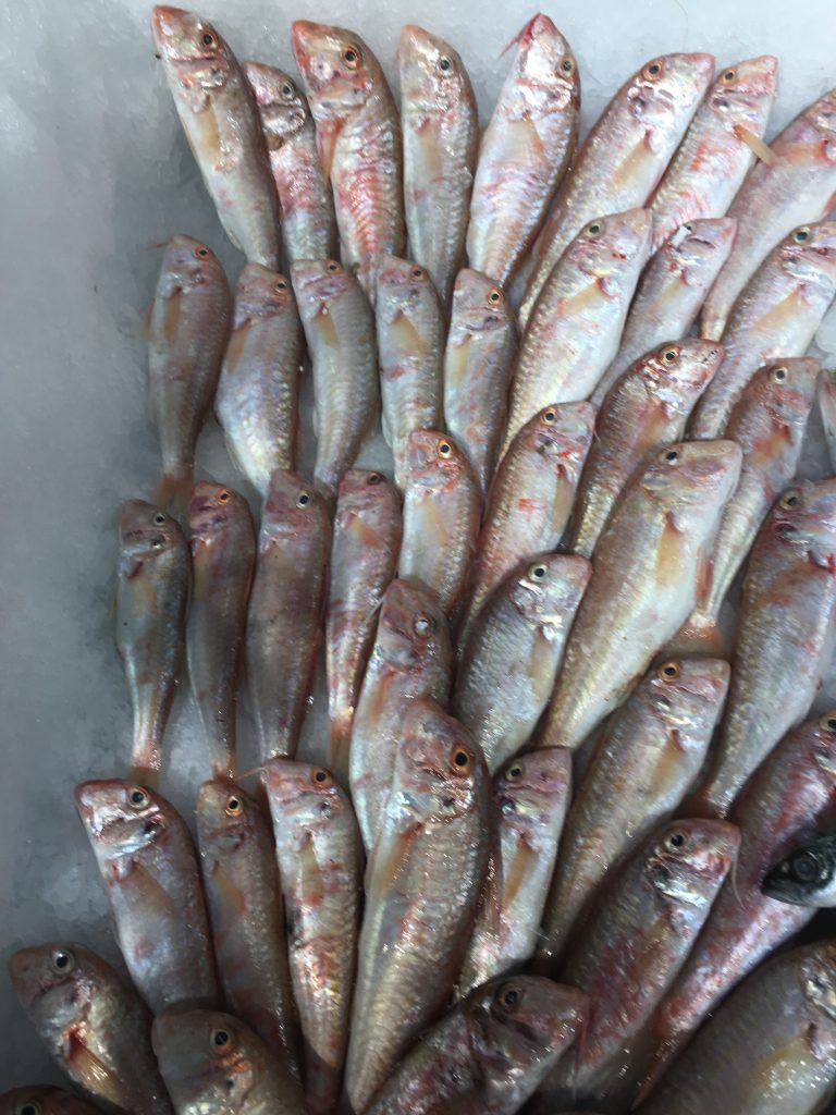 Tekir Balığı Faydaları Ve Özelliği