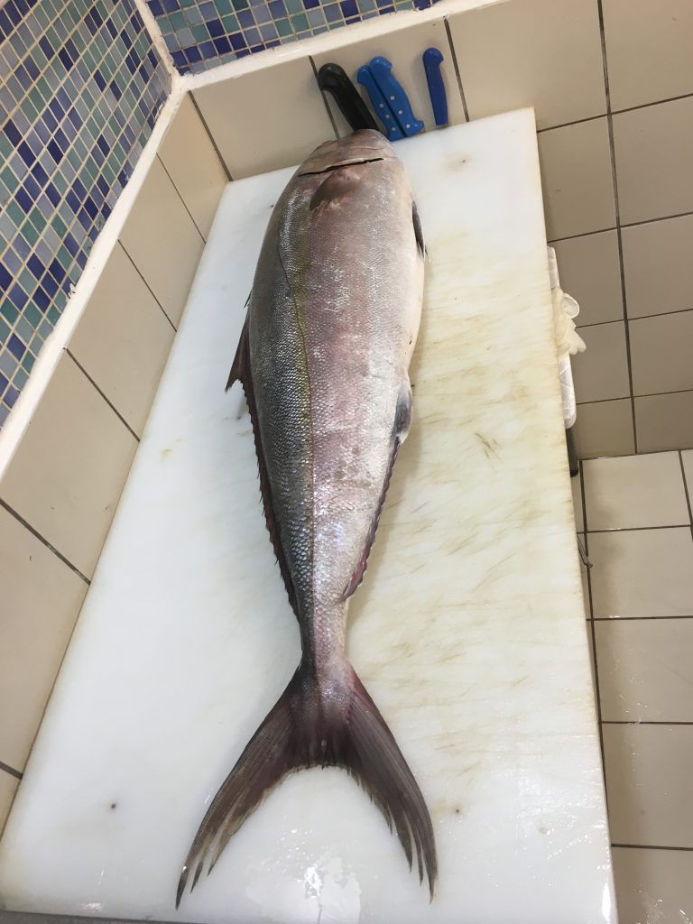 Akya  Balığı Faydaları Ve Özelliği