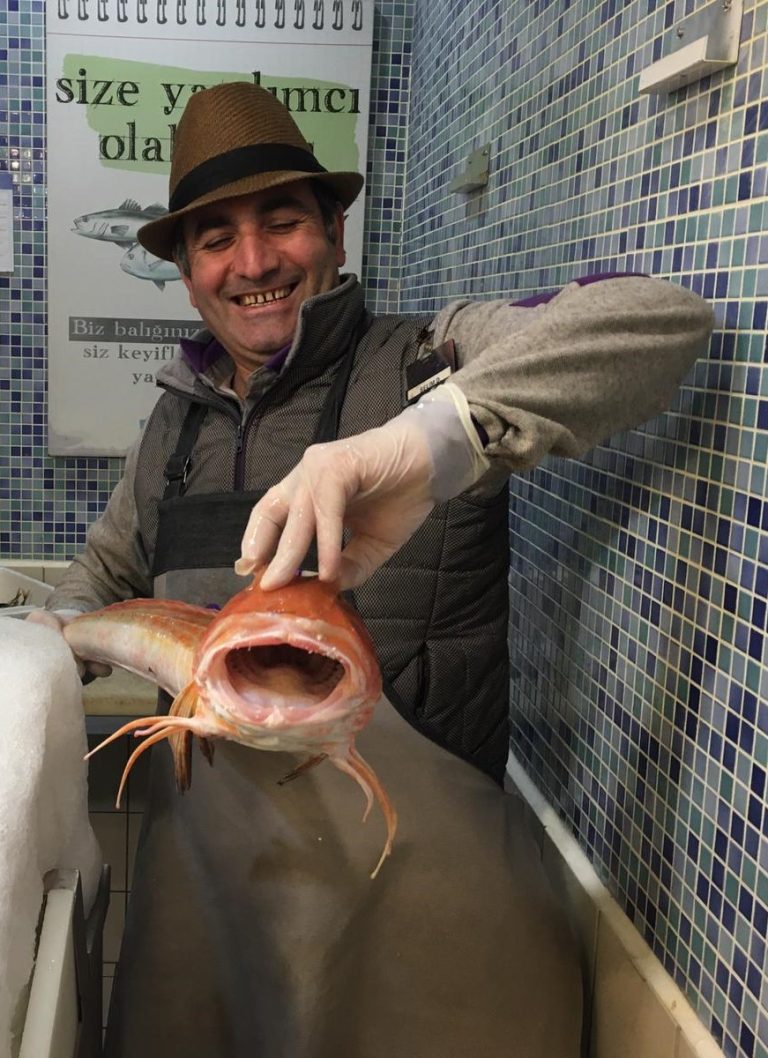 Kırlangıç Balığı Faydaları Ve Özelliği