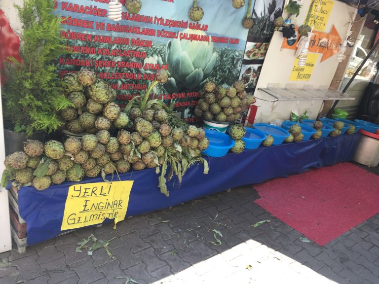 Enginar Sevmiyorum!!!