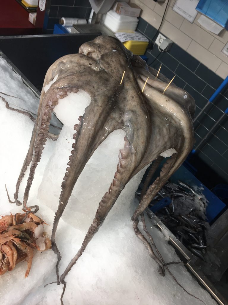 AHTAPOT FAYDALARI VE ÖZELLİĞİ