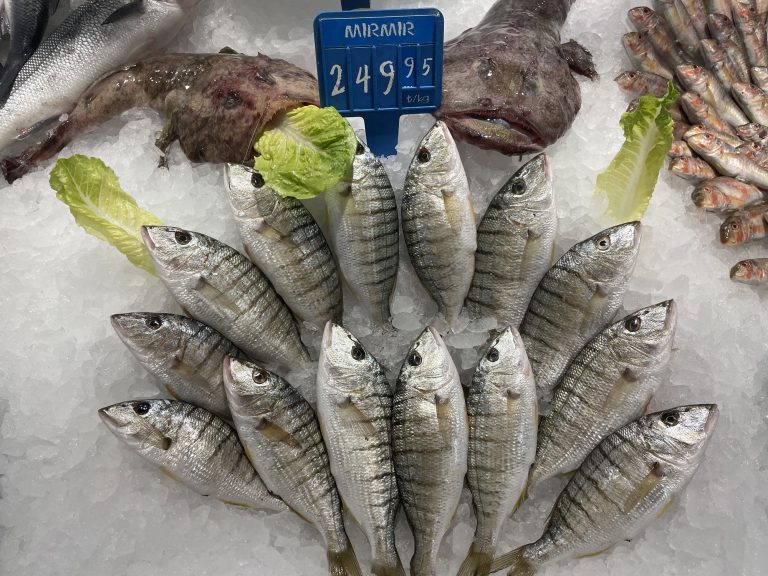 Mırmır Balığı Faydaları Ve Özelliği