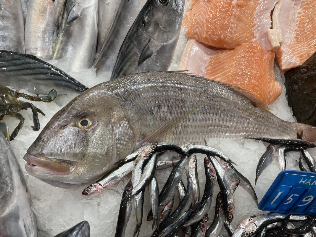 Sinarit Balığı Faydaları Ve Özelliği