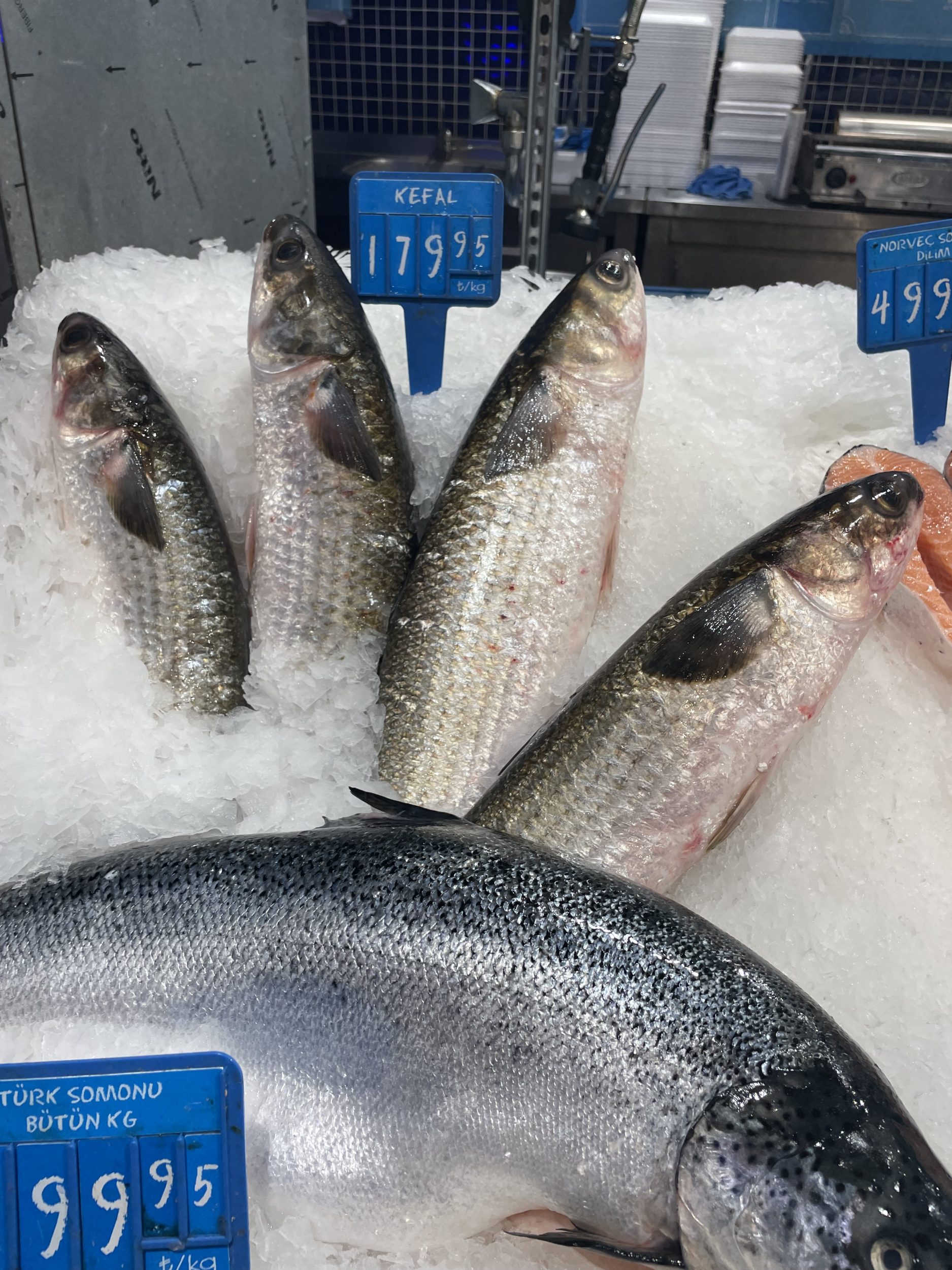 Kefal Balığı Faydaları