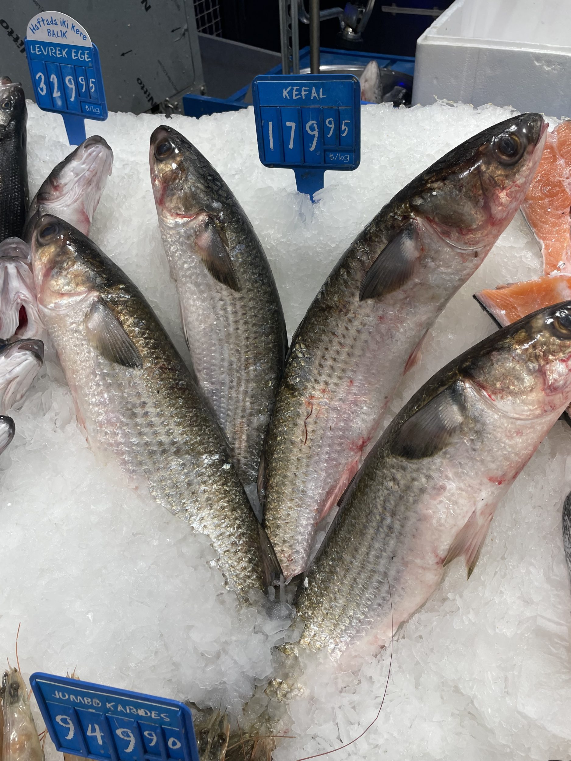 Kefal Balığı Faydaları