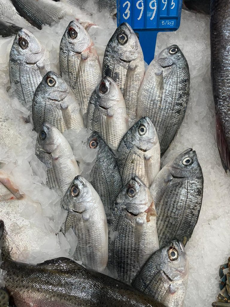 Melanur Balığı Faydaları Ve Özelliği