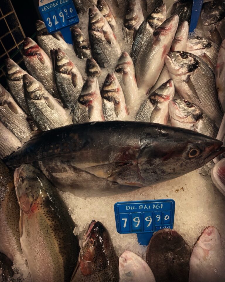 Benefits and Characteristics of Tuna Fish