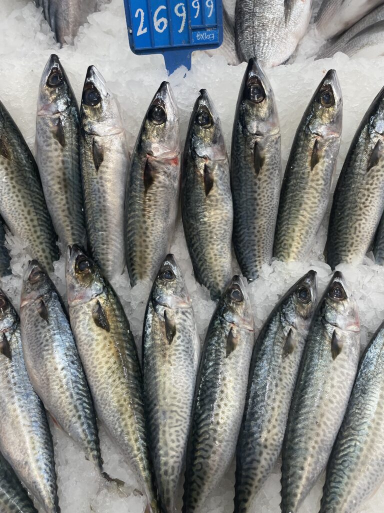 Kolyoz Balığı Faydaları Ve Özelliği