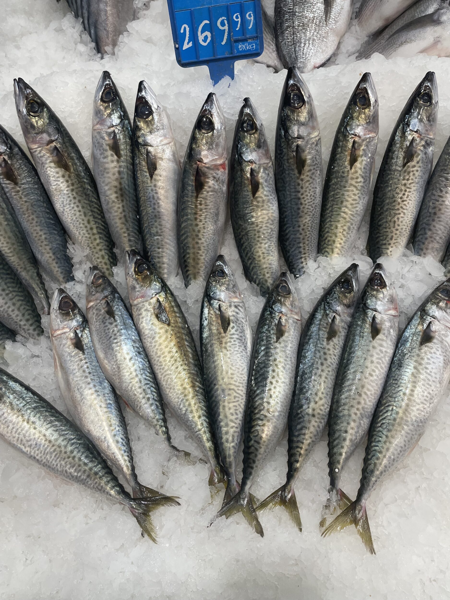 Kolyaz Balığı Faydaları 