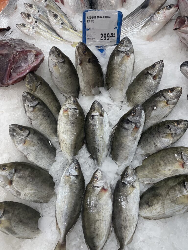 Akdeniz Sokar Balığı Faydaları Ve Özelliği