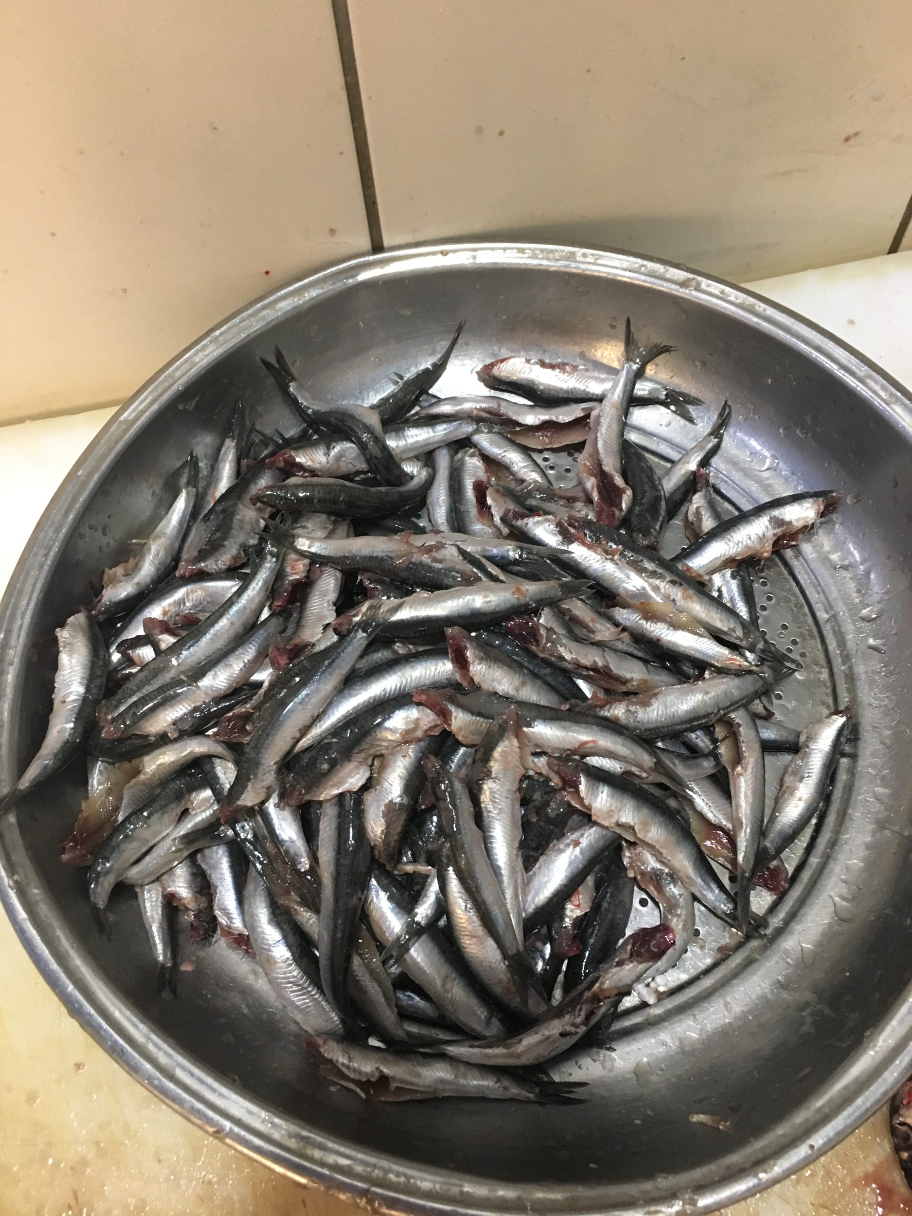 Benefits of Anchovy Fish